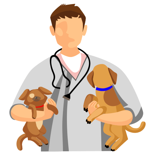 Veterinary people set vector